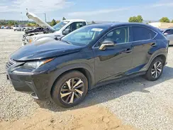 JTJBJRBZ1K2108623 2019 LEXUS NX