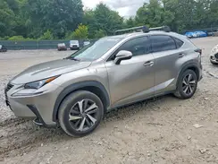 JTJBJRBZ1K2122747 2019 LEXUS NX