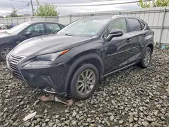 JTJBJRBZ3K2099004 2019 LEXUS NX