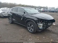 JTJBJRBZ3K2099827 2019 LEXUS NX