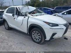 JTJBJRBZ3K2100815 2019 LEXUS NX