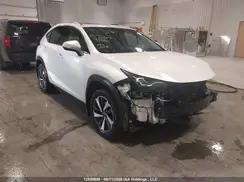 JTJBJRBZ3K2103939 2019 LEXUS NX
