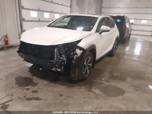 JTJBJRBZ3K2103939 2019 LEXUS NX - Image 2