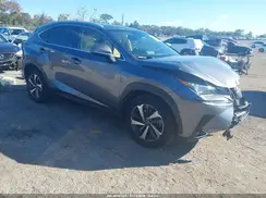 JTJBJRBZ4K2125917 2019 LEXUS NX