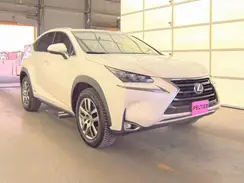 JTJBJRBZ5G2031987 2016 LEXUS NX