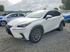 JTJBJRBZ6K2109606 2019 LEXUS NX