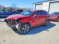 JTJBJRBZ6K2117740 2019 LEXUS NX