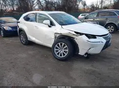 JTJBJRBZ6K2119908 2019 LEXUS NX