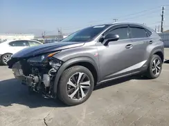 JTJBJRBZ7K2115981 2019 LEXUS NX