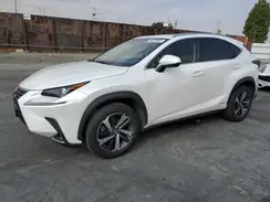 JTJBJRBZ7K2116838 2019 LEXUS NX