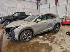 JTJBJRBZ7K2122249 2019 LEXUS NX