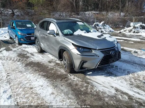 JTJBJRBZ8K2102978 2019 LEXUS NX - Image 1