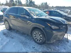 JTJBJRBZ8K2116704 2019 LEXUS NX