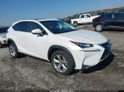 JTJBJRBZ9H2073614 2017 LEXUS NX