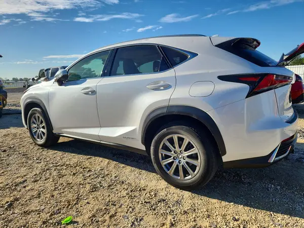 JTJBJRBZ9K2124469 2019 LEXUS NX - Image 2