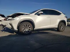 JTJBJRBZXK2098979 2019 LEXUS NX