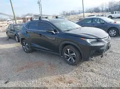 JTJBJRBZXK2100956 2019 LEXUS NX