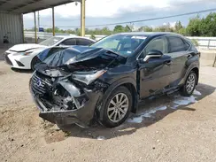 JTJBJRBZXK2111214 2019 LEXUS NX