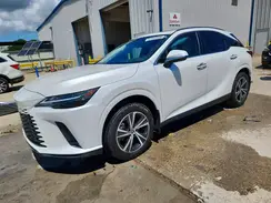 JTJCHMAA0R2015519 2024 LEXUS RX
