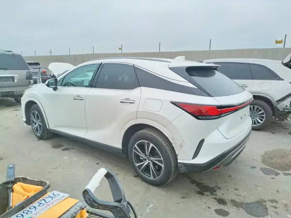 JTJCHMAA5R2017055 2024 LEXUS RX - Image 2