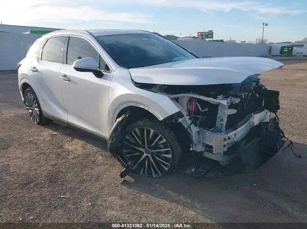 JTJCHMAA5S2022326 2025 LEXUS RX - Image 1
