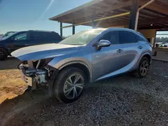 JTJCHMAA6R2013502 2024 LEXUS RX