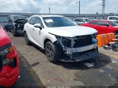 JTJCHMAA9S2022801 2025 LEXUS RX