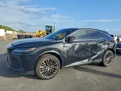 JTJCJMGA2S2026488 2025 LEXUS RX