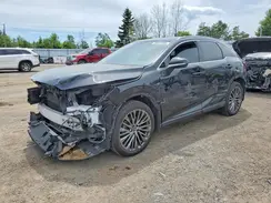 JTJCJMGA7S2029399 2025 LEXUS RX