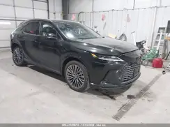 JTJCJMGA8R2019619 2024 LEXUS RX
