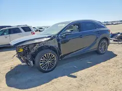 JTJCJMGA9S2029985 2025 LEXUS RX