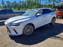 JTJCJMGAXR2022537 2024 LEXUS RX