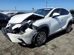 JTJDARBZ0M5023394 2021 LEXUS NX