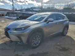 JTJDARBZ1M2178439 2021 LEXUS NX