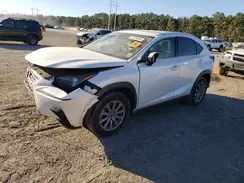 JTJDARBZ1M5029186 2021 LEXUS NX