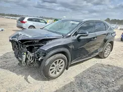 JTJDARBZ1M5034842 2021 LEXUS NX