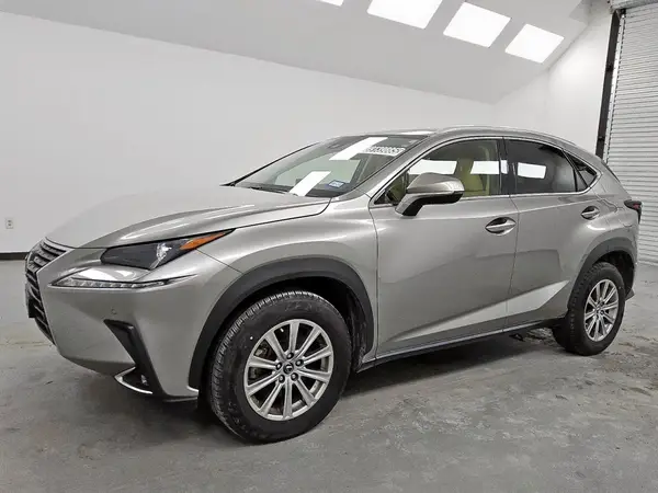 JTJDARBZ2L5010810 2020 LEXUS NX - Image 1