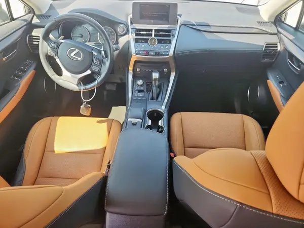 JTJDARBZ2L5011486 2020 LEXUS NX - Image 8