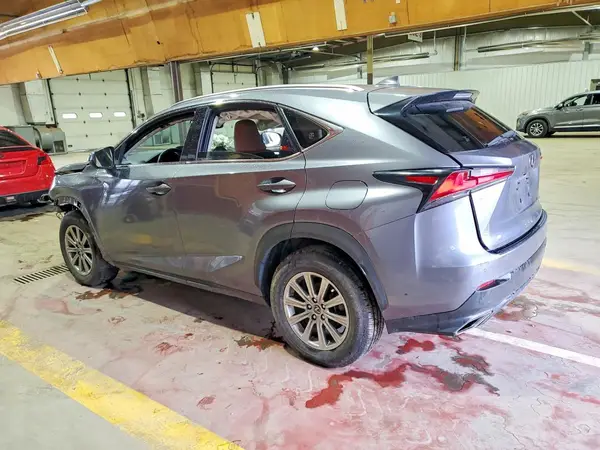 JTJDARBZ4L2165666 2020 LEXUS NX - Image 2