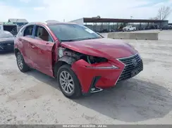JTJDARBZ5M5021009 2021 LEXUS NX