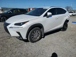 JTJDARBZ5M5035217 2021 LEXUS NX