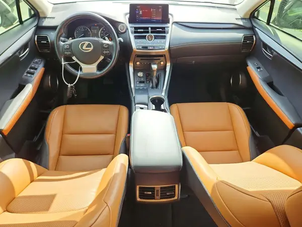 JTJDARBZ6L2177334 2020 LEXUS NX - Image 8