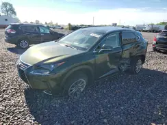 JTJDARBZ6M2191137 2021 LEXUS NX