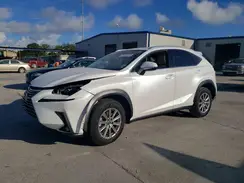 JTJDARBZ6M5024050 2021 LEXUS NX