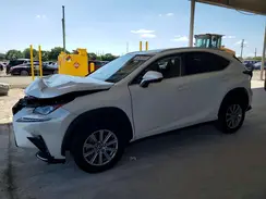 JTJDARBZ6M5031662 2021 LEXUS NX