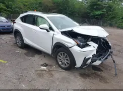 JTJDARBZ6M5035226 2021 LEXUS NX