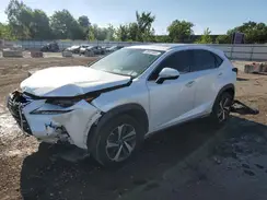 JTJDARBZ8L5007667 2020 LEXUS NX