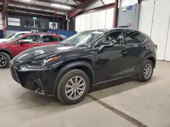 JTJDARBZ9M2196882 2021 LEXUS NX