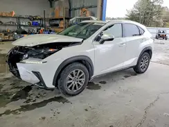 JTJDARBZ9M5021272 2021 LEXUS NX