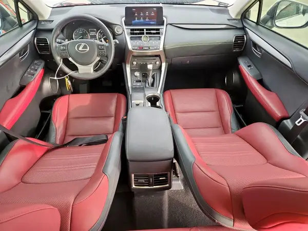 JTJDARBZXL5016712 2020 LEXUS NX - Image 8